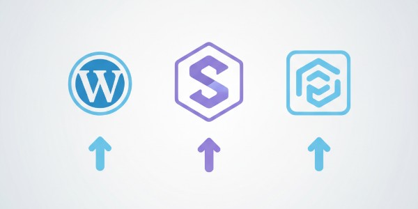 WordPress, Sanity o Contentful 2025: Elige el Mejor CMS para tu Proyecto